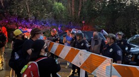 Protesters in front of a police barricade in Springfield on July 29, 2020.