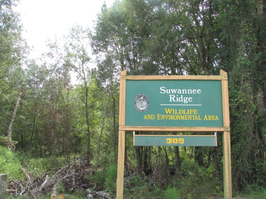 The Suwannee Ridge could see renovations to its trails and parking areas with Florida Fish and Wildlife Commission's 10-year management plan.