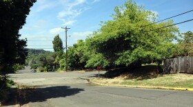 Power lines near 26th Ave and Jefferson St pass through tree branches in this August 14, 2026 photo.