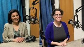 Juanita Perez Williams (left) and Dana Balter (right) are running for the Democratic nomination in the 24th Congressional District WRVO NEWS FILE PHOTO