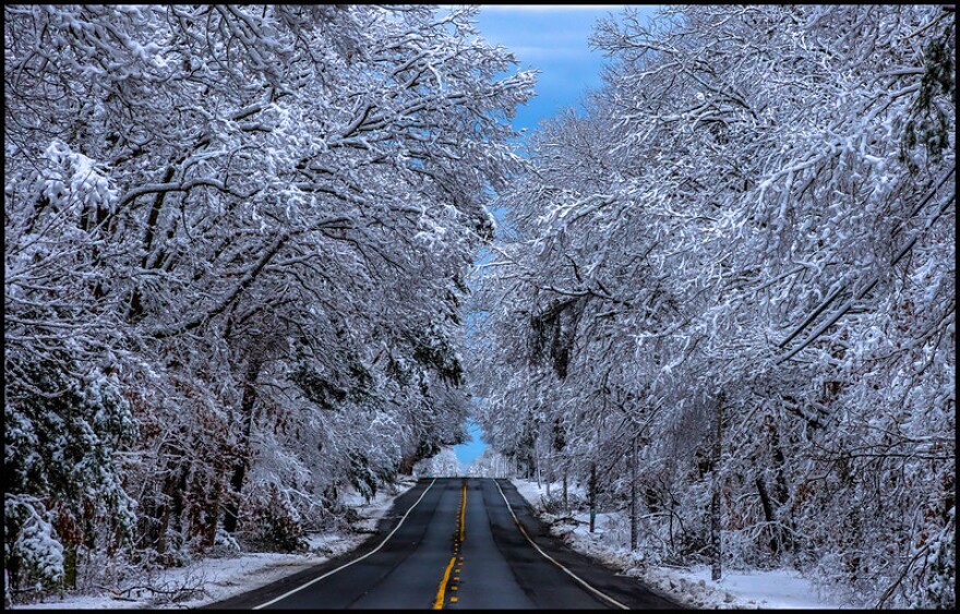 Trees heavy with snow flank a two-lane road