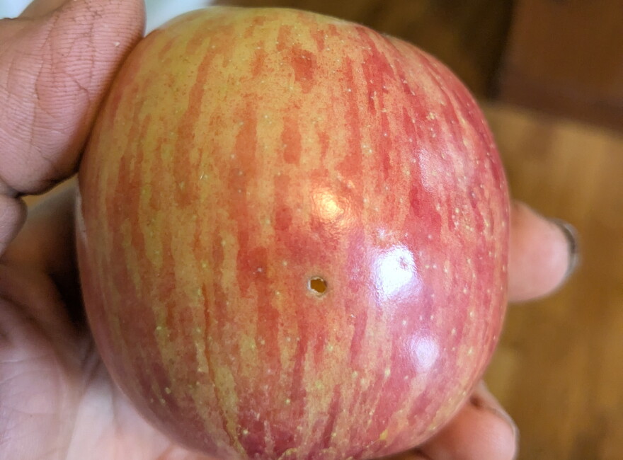 If you have an apple with a worm hole - a little careful work with a knife will allow you to avoid the worm and enjoy the the taste.