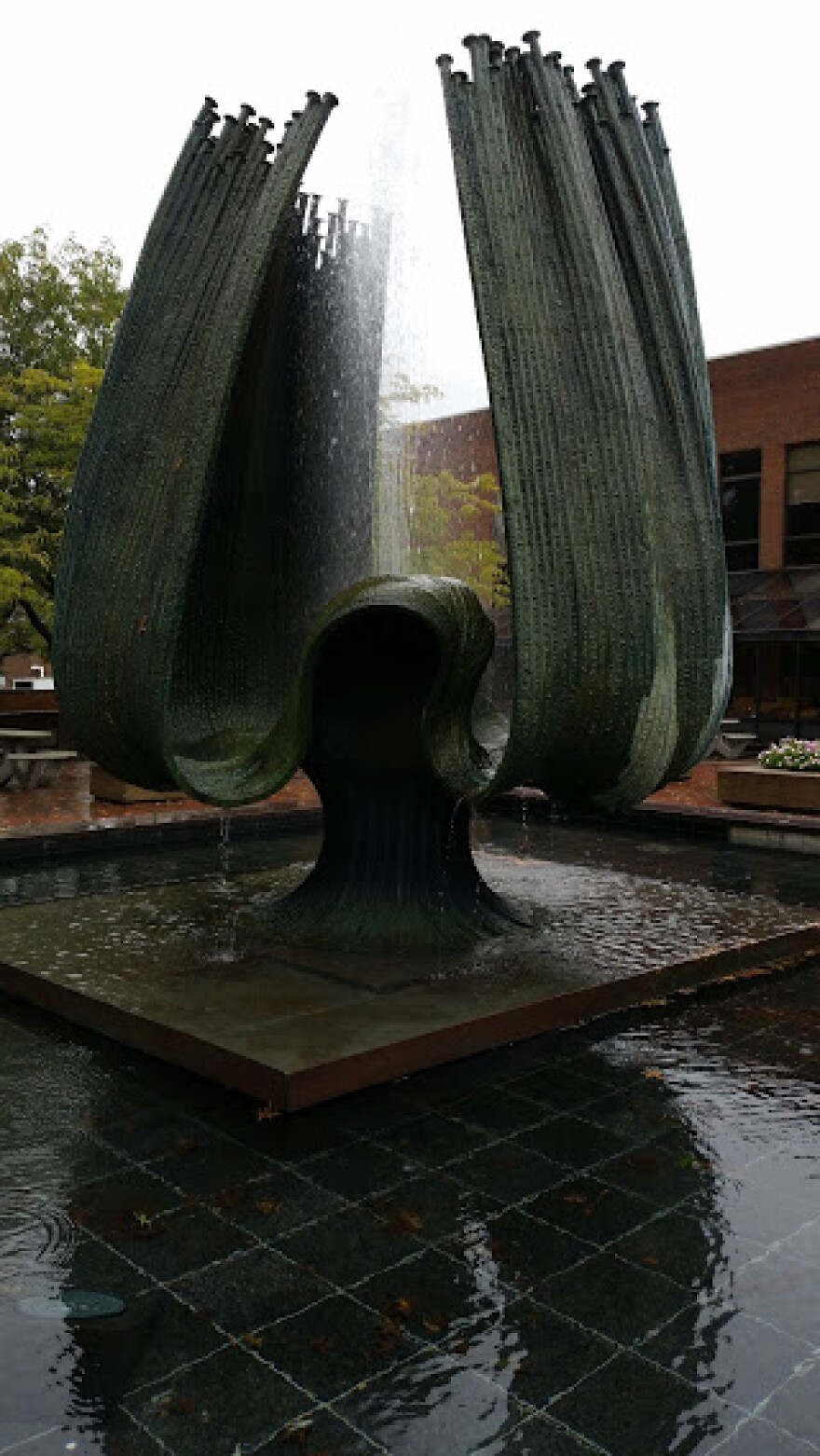 2015-10-03 14.53.47.jpg