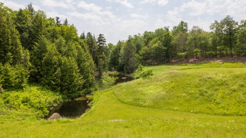 Some of the 850-plus acres secured for conservation by Mass Audubon in Becket, Massachusetts.