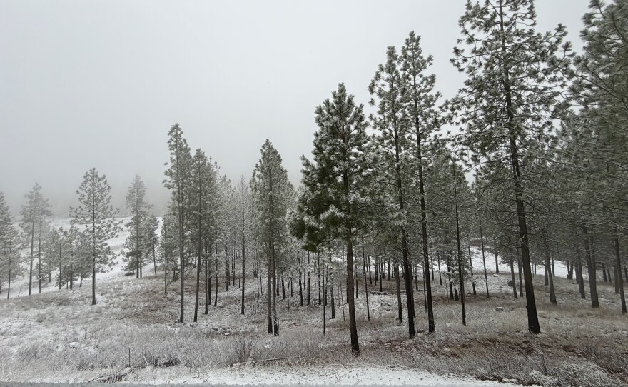 Lynn and Becky Miner bought 100 acres worth of land looking to build a tree farm. After 30 years, they planted 11,000 ponderosa pines and western larch trees and donated their land to Washington State University Extension Forestry. They hope it will be utilize to help students and small-scale foresters.