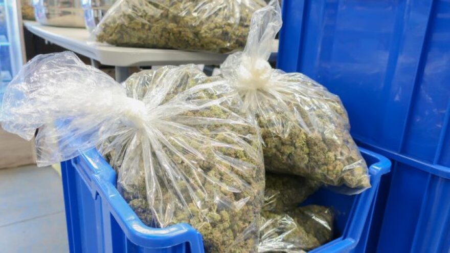 Bags of cannabis sit in crates at The Nirvana Group’s Tulsa-based warehouse.