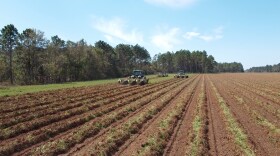 Santa Rosa County is celebrating its first-ever Rural Roots Day.