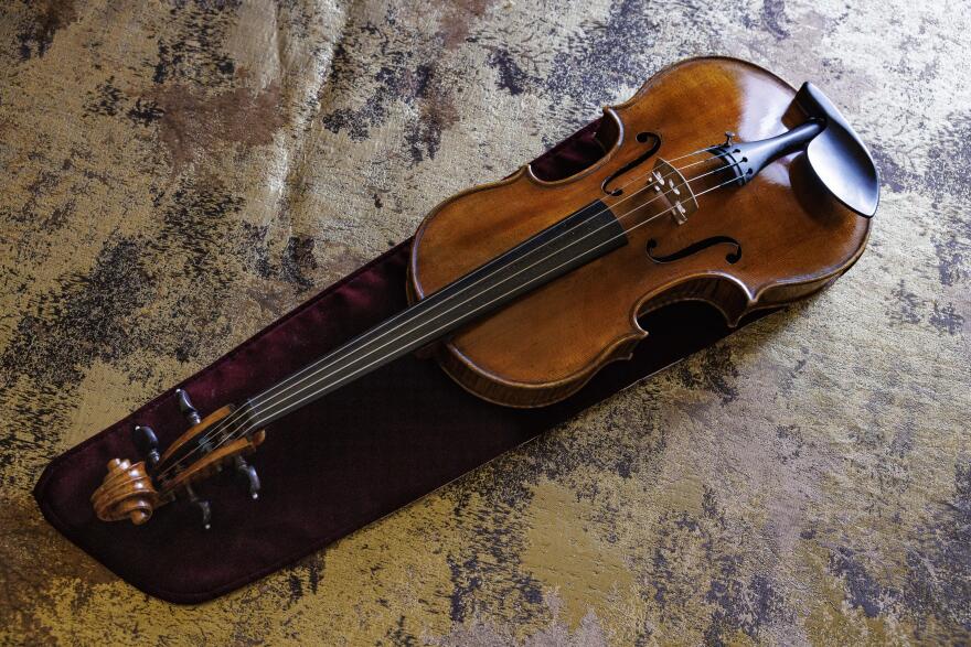 a viola in a case