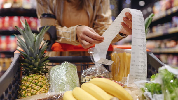 A person reads a receipt held over a cart of groceries.