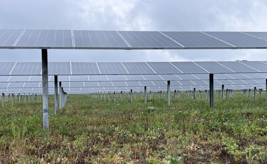 A series of solar panels are seen in a row with green vegetation surrounding them. The sky is cloudy and hazy.