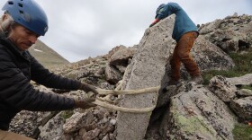 A Man wearing a helmet pulls a large rock amid a field of rocks while another person pushes from the opposite side.