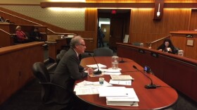 Howard Zemsky, the chair of the Empire State Development agency, speaks at Monday's hearing.