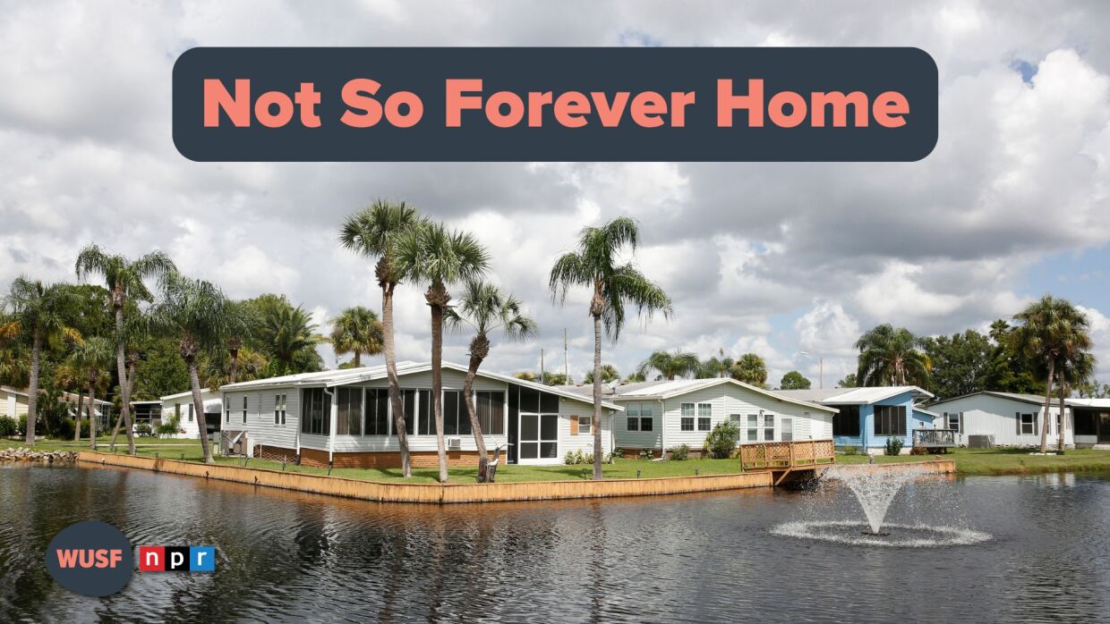 Homes facing a lake with a fountain and palm trees. 