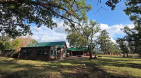 A ranch building with a green roof beneath large trees