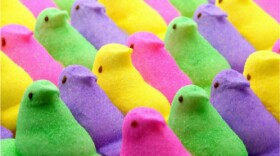 Colorful rows of marshmallow "Peeps"