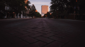 Lawmakers in the Capitol building are considering a measure that would make it easier for mental health counselors to move to the state. (Erich Martin/WFSU)