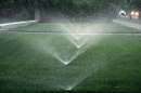 Sprinklers water a green lawn.