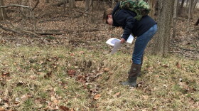 An Indiana Department of Environmental Management employee inspects an area in Hamilton County where an agricultural tile has been damaged, causing what they call an isolated wetland to form over time, 2017.