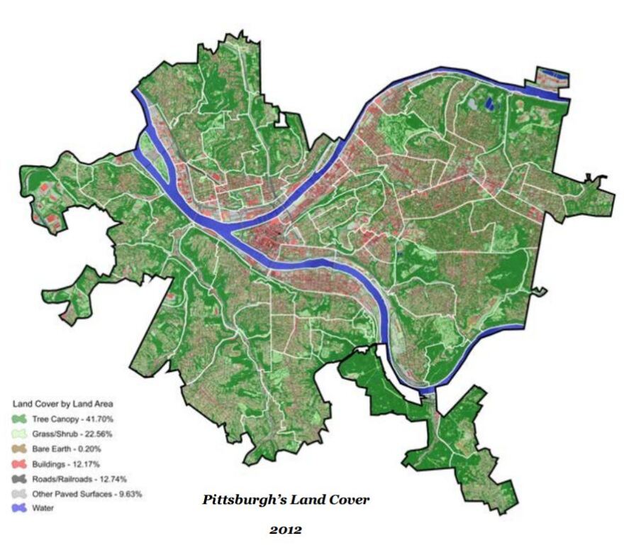 tree_cover.jpg
