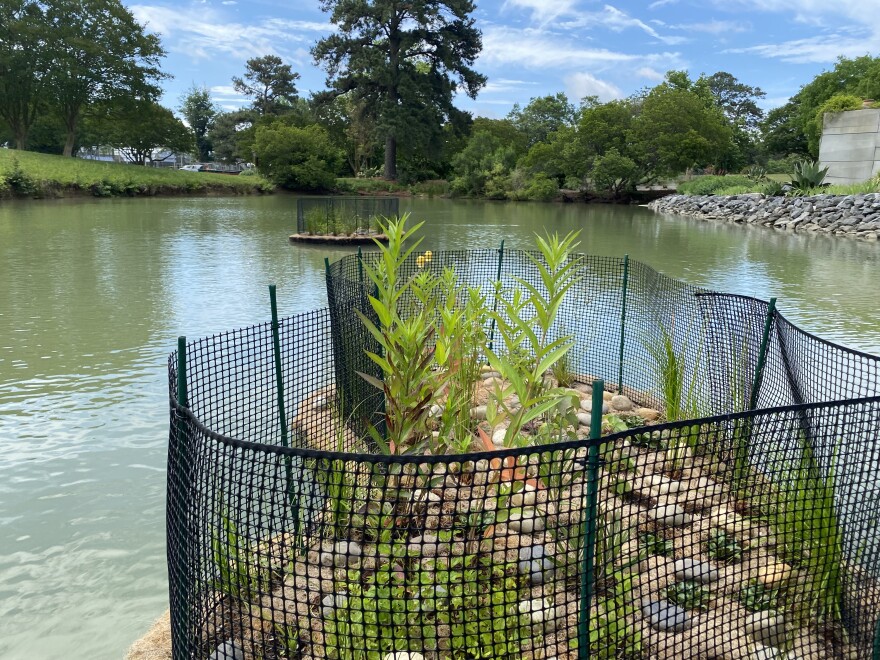 "Floating wetlands" at the Norfolk Botanical Garden on May 27, 2026.