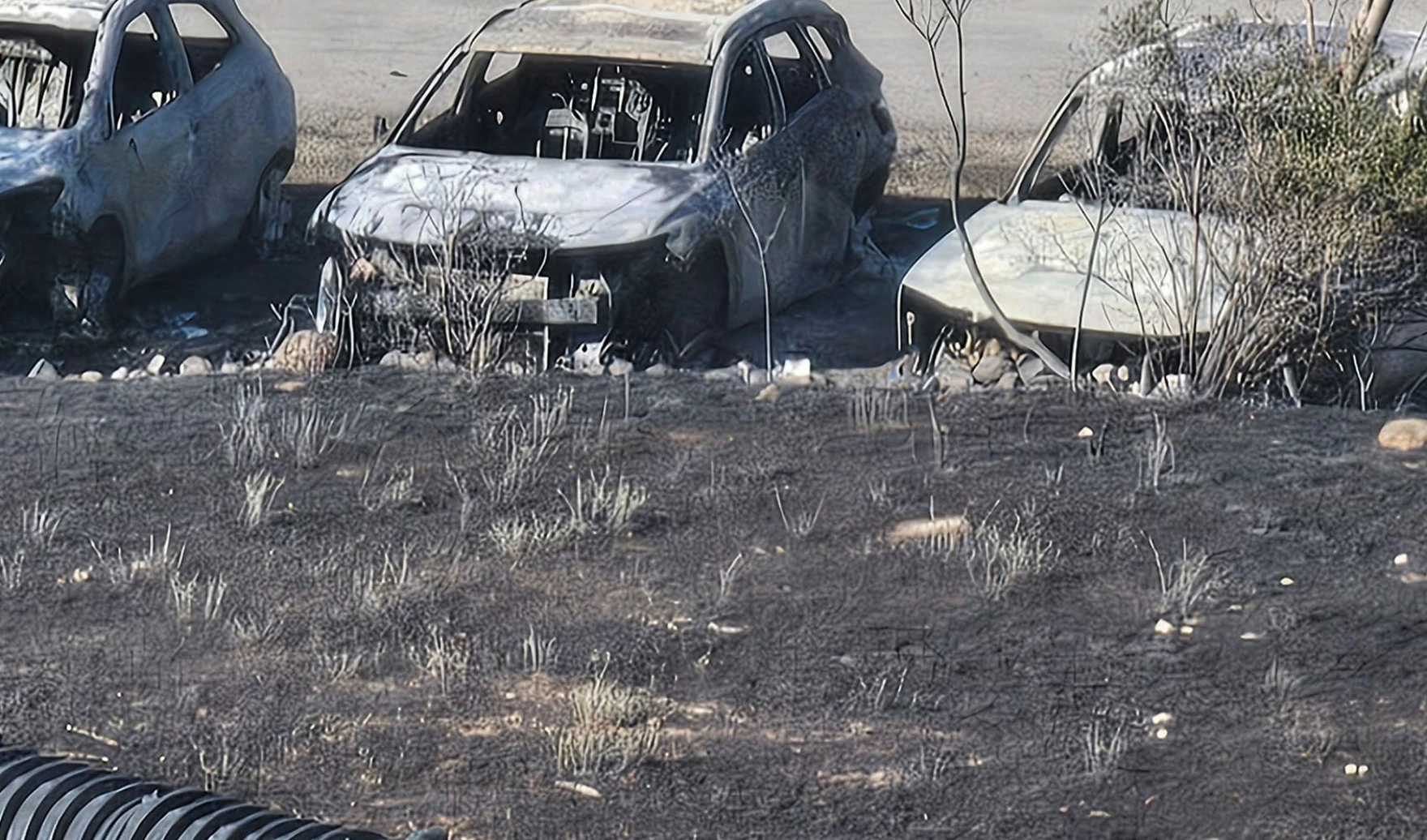 Logan's Canyon Road Fire started in a USU compost pile, investigators say