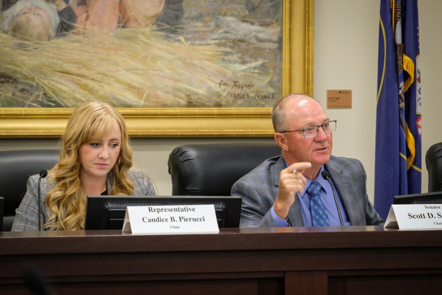 Rep. Candice Pierucci and Sen. Scott Sandall, the Republican co-chairs of the Legislative Redistricting Committee, during a morning hearing before the Legislature's special session, Oct. 6, 2025.