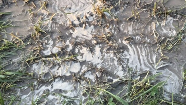 Contaminated soil from the property of Jocely and Daniel McKiernan on 99th Street in Niagara Falls.