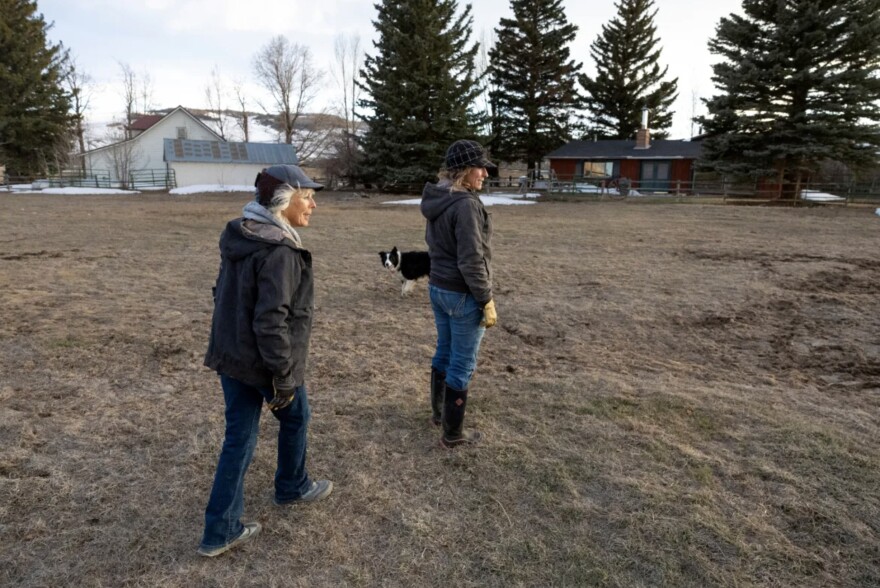 Caitlyn Taussig, right, and her mother, Vicki, smile as they watch the calves and cows progress during their routine checkup in the middle of calving season. on their ranch, April 9, near Kremmling. The multigenerational ranching pair oversee 135 cows on their pastures.