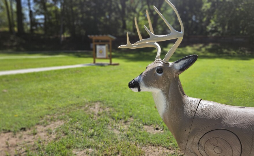 3D deer target at the Burns Park archery range