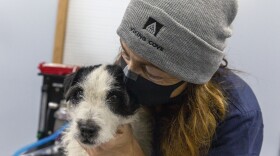 A woman in a black mask and grey beanie snuggles a white dog