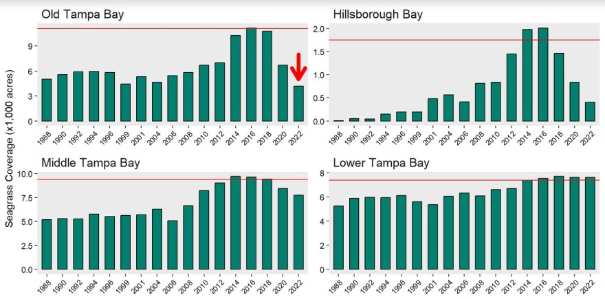 Chart of seagrass in Tampa Bay