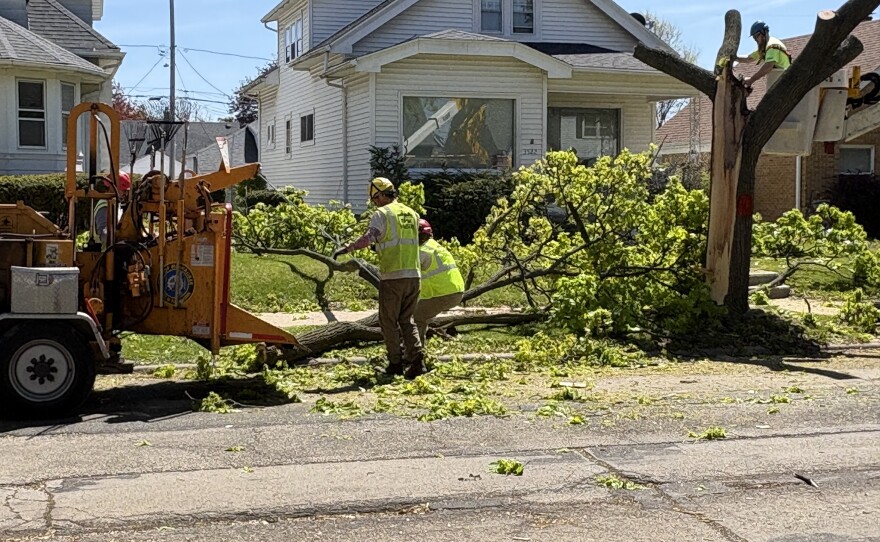 The crew chipped the tree's upper branches. The trunk is then sent off to be milled, but not before the crew cut a "cookie" out for the homeowner who had enjoyed the tree for two decades.