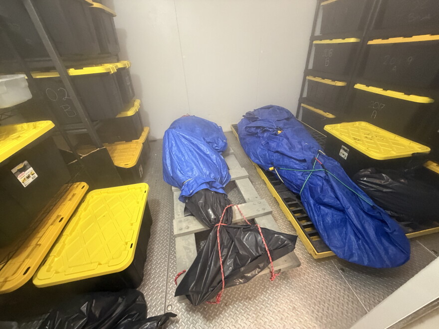 A dead dolphin and dead manatee lay wrapped in tarps in a freezer at Dauphin Island Sea Lab.