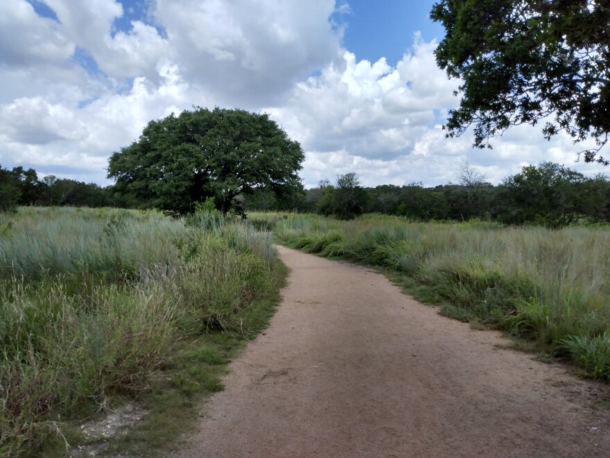 This relic savanna at Hardberger Park is a mosaic of grass, woody shrubs and trees.