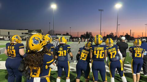A group of football players in navy blue watch the game from the sidelines as the sun sets over the field.