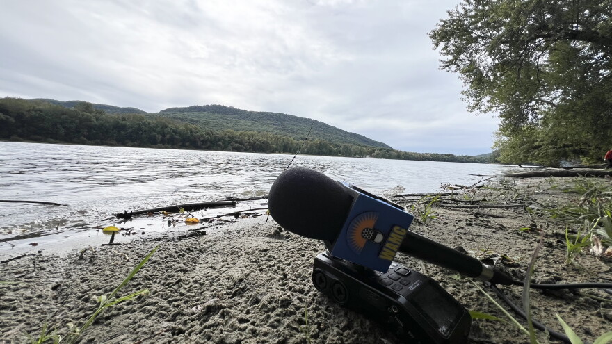 One of the banks of the Connecticut River in Northampton, Mass., as seen on Saturday, Sept. 26, 2026, during a cleanup effort led by local volunteers - part of the broader, annual "Source to Sea" cleanup campaign run by the Connecticut River Conservancy.