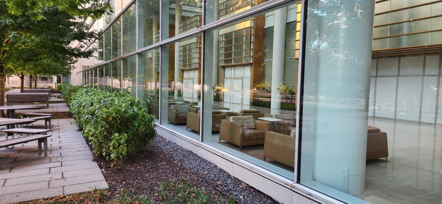Hundreds of birds die from flying into glass buildings each year in downtown Milwaukee.