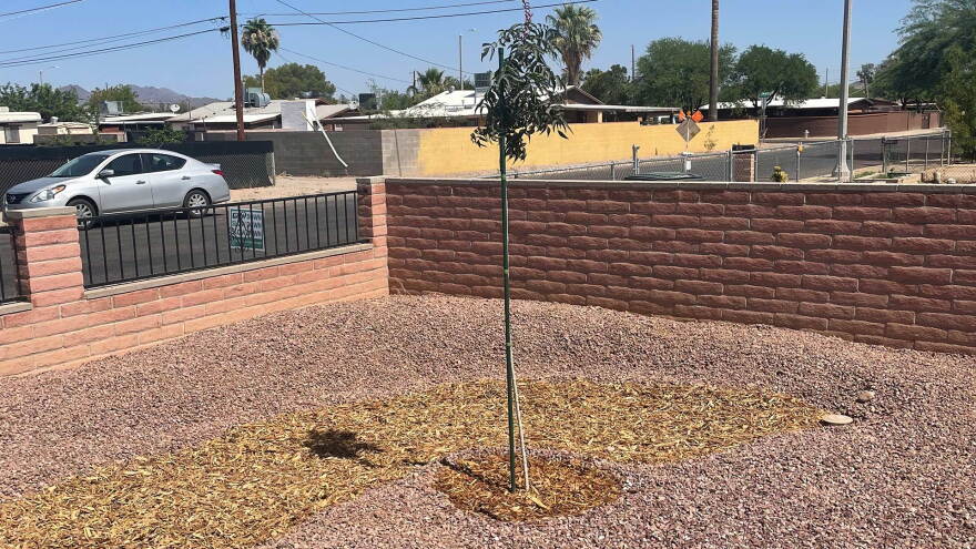 Tucson Clean and Beautiful Front Yard Rain Garden