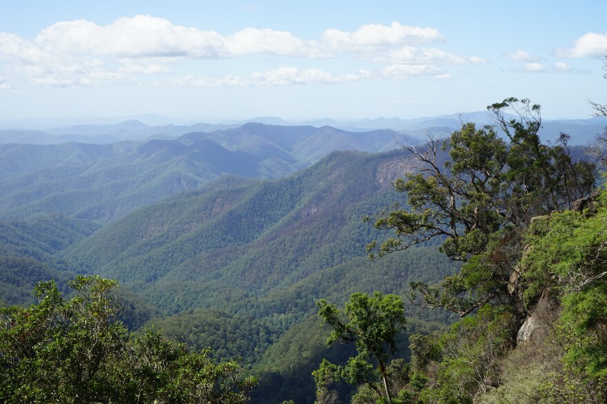 Broad swaths of New England National Park burned during Australia's fire season. Where fire intensity was severe, whole hillsides are torched. In others, brown tree canopies hint at fire damage below.