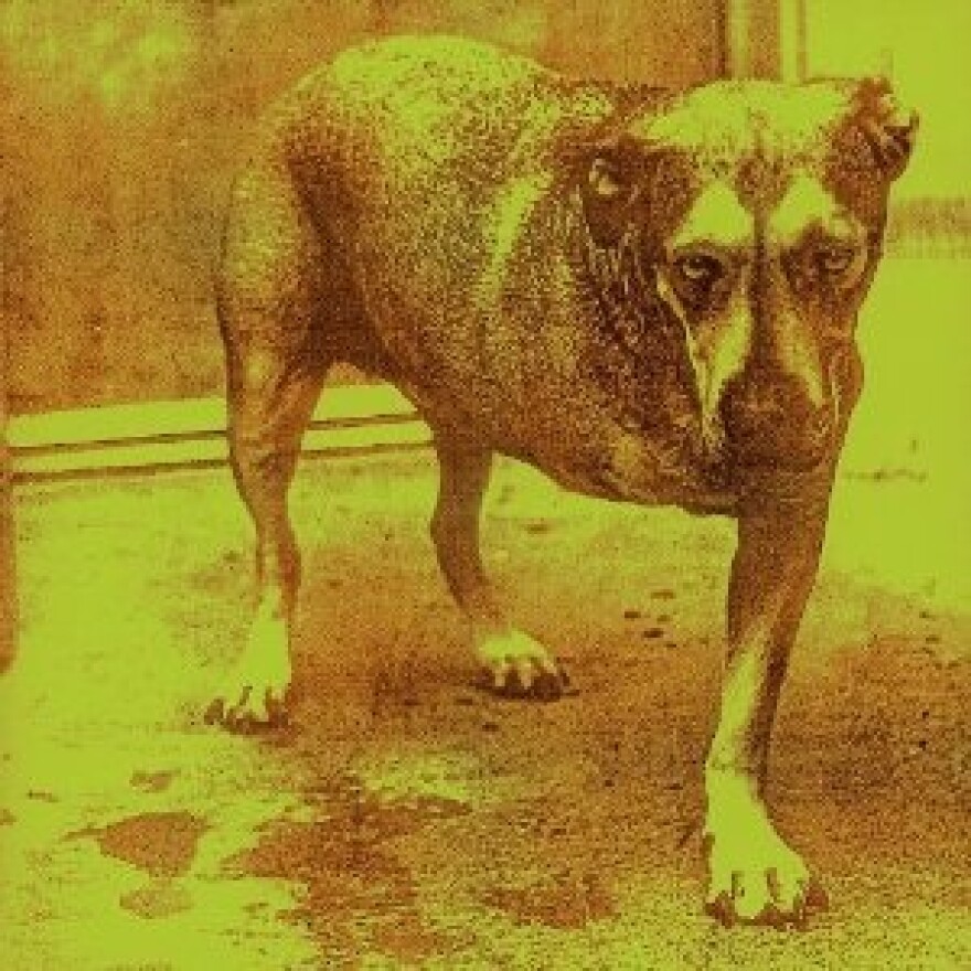  Alice in Chains - Alice in Chains