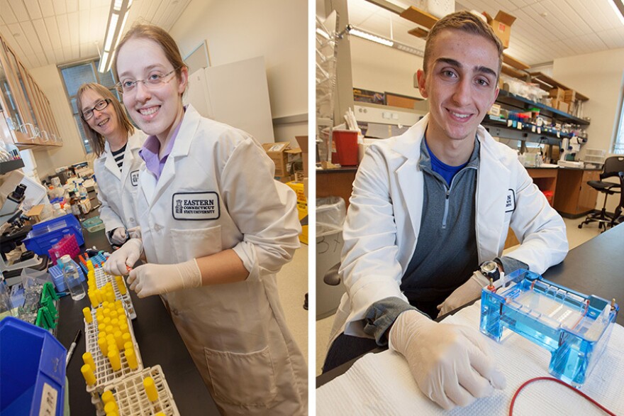 LtoR Professor Barbara Murdoch, Biology student Lauren Atkinson and biology student Christopher Shimwell researching the scorpion stingers