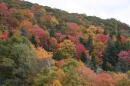 Fall foliage along the Blue Ridge Parkway near Beacon Heights. Image credit: Dr. Howard Neufeld.