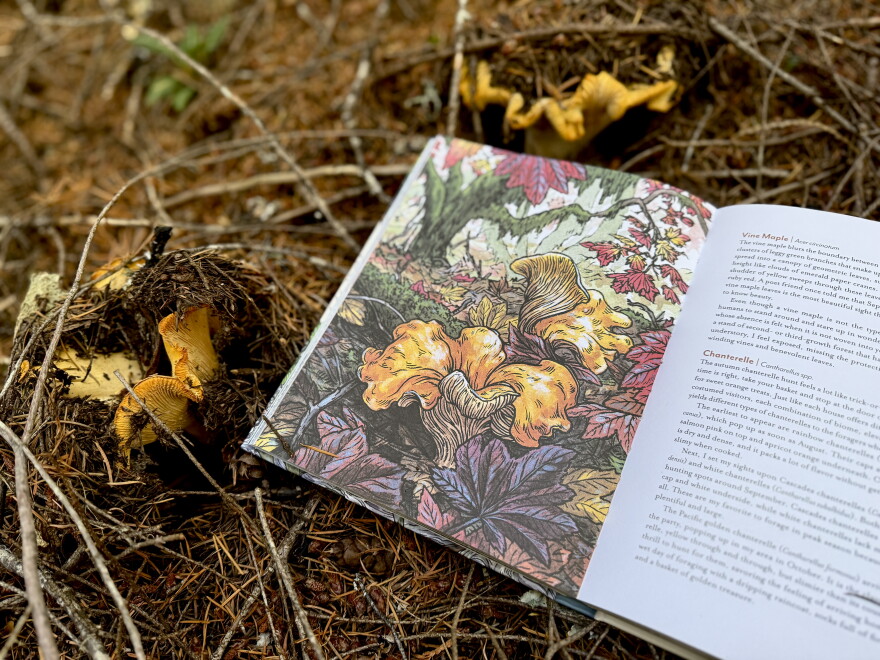 The Pacific golden chanterelle pops up in October.