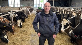 Farmer Wilbert van der Post is worried that the Dutch government's new nitrogen reduction rules will force him, a fourth-generation farmer, out of business. He plans to vote for the Farmer-Citizens Movement, known in the Netherlands by its acronym, BBB, on election day in November.