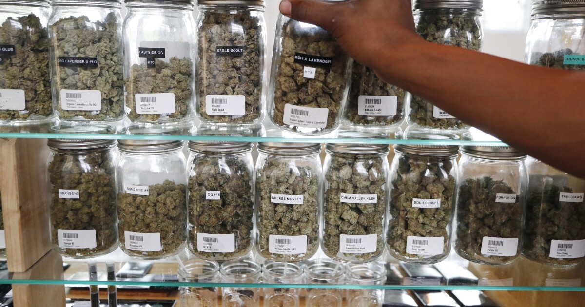 Medical Marijuana Sales Continue Climbing | WOSU Public Media