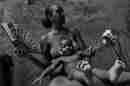 One of the images featured in the Bickel exhibit