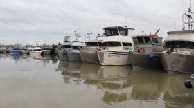 Boats in the Dillingham Harbor.