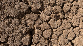Drought has been drying out field and ponds in Oklahoma.