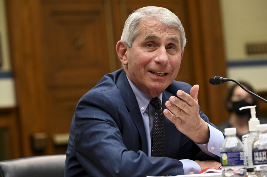 Dr. Anthony Fauci, director of the National Institute for Allergy and Infectious Diseases, testifies before a House Select Subcommittee hearing on the Coronavirus, Friday, July 31, 2020 on Capitol Hill in Washington.