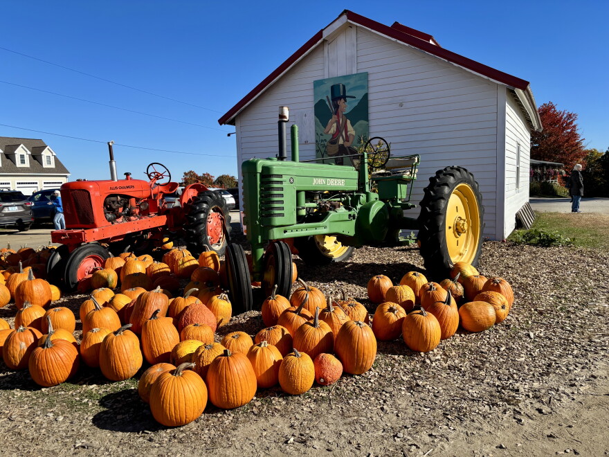 An autumnal scene with pumpkins and a tractor at Carter Hill Orchard